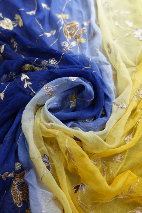 Blue And Yellow Vintage Dupatta - New