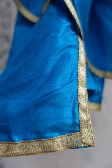 Blue Peacock Pure Silk Dupatta With Gold Braid - New