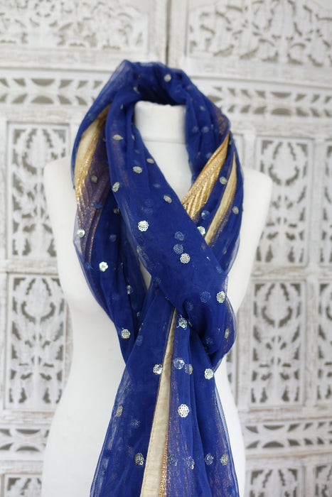 Blue Net Dupatta - New