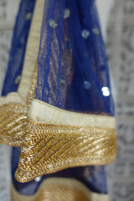 Blue Net Dupatta - New